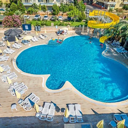 Arsi Blue 阿拉尼亚