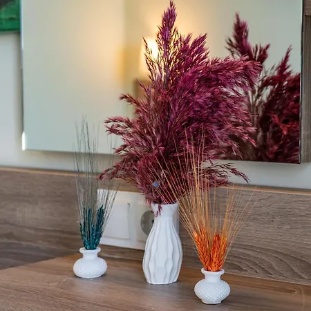 酒店 Arsi Blue 阿拉尼亚