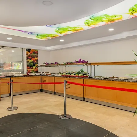 Arsi Blue 阿拉尼亚