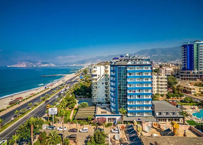 Arsi Blue Αλάνια